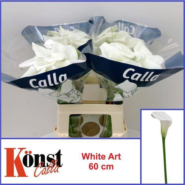 CALLA WHITE ART 60CM