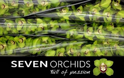 CYMB TAK MRS DUBLIN X6 12FL