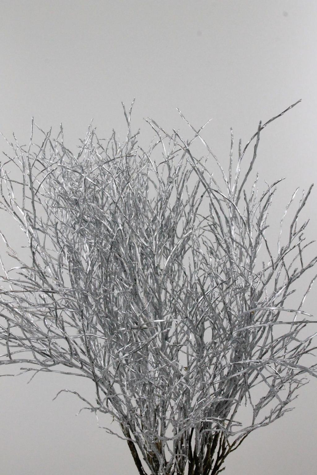 HEIDELBEER KLB ZILVER 50CM