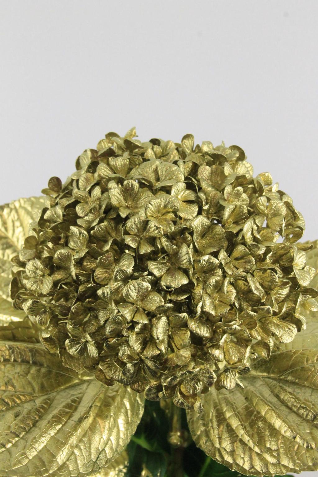 HORT. KLB OR 60CM $$$