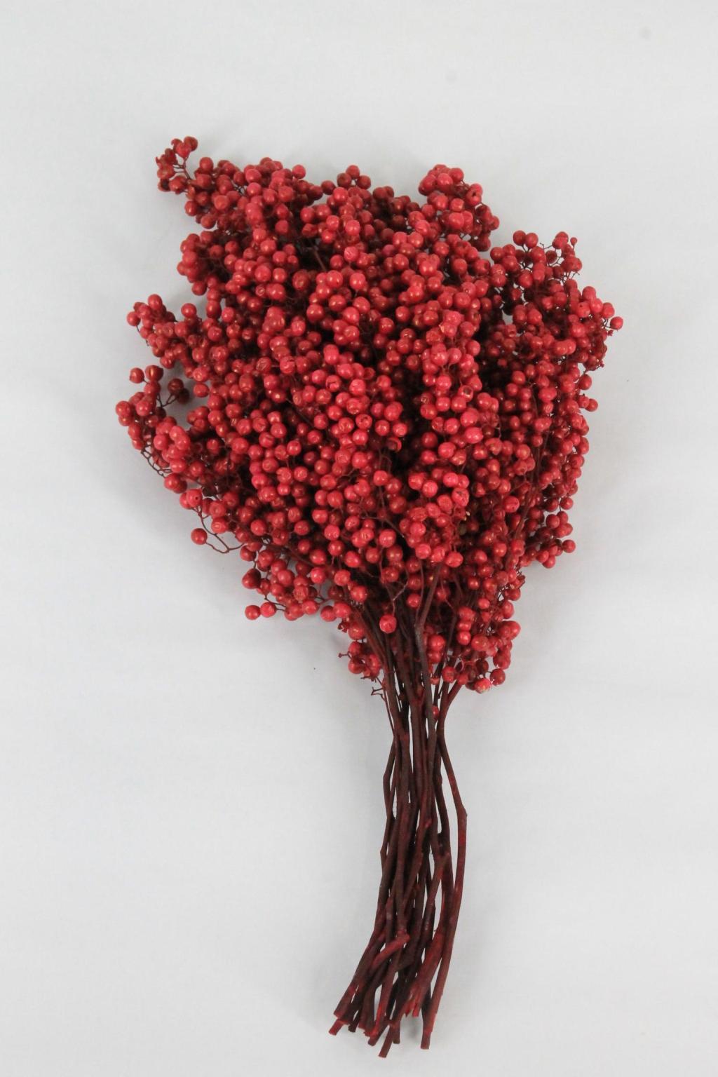 PEPPERBERRY KLB ROUGE