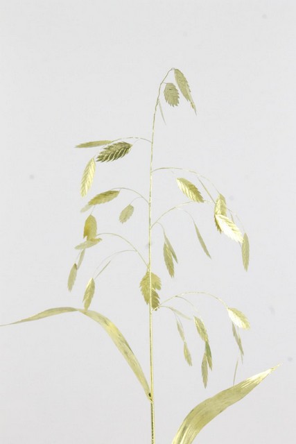 Chasmanthium Dyed Gold 70cm