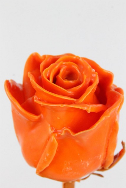 Rose Bg Dyed Waxed Orange 60cm