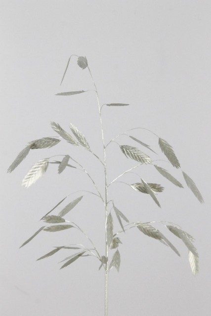 Chasmanthium Dyed Platinum