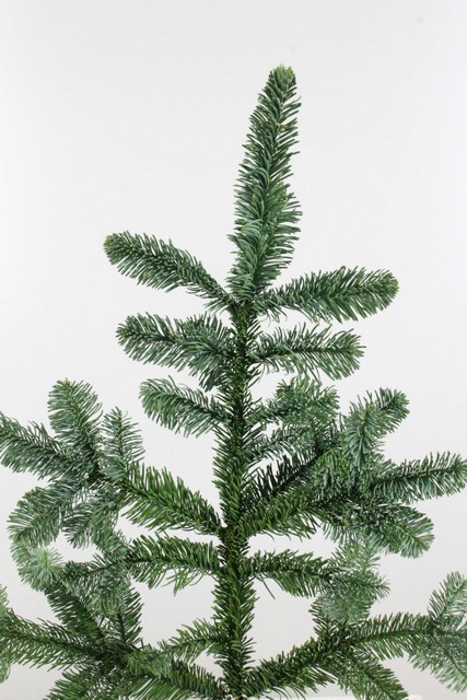Abies Nobilis blue 5 kilo 